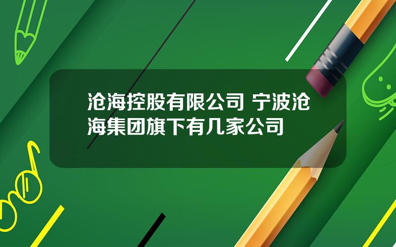 沧海控股有限公司 宁波沧海集团旗下有几家公司